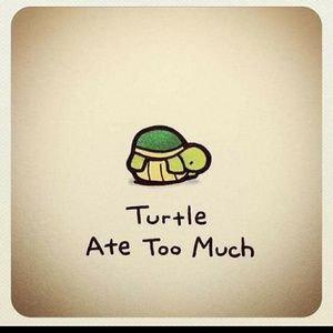 Meet your Posher, Ladylyn